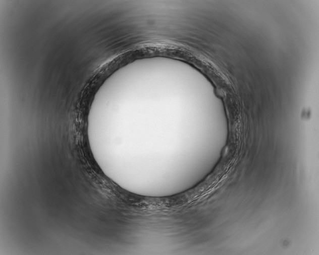 X0000103490822200810031604