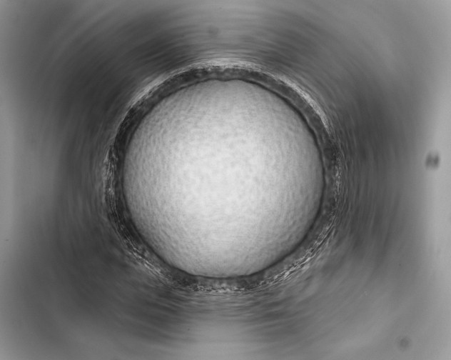 X0000103490823200810031604