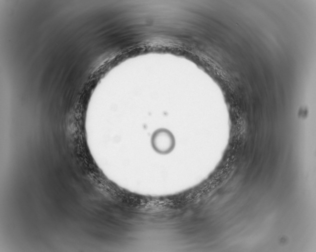 X0000103490824200810031604