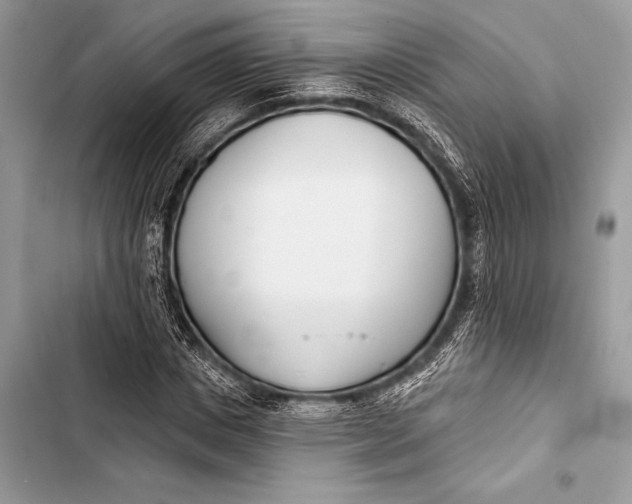 X0000103490825200810031604