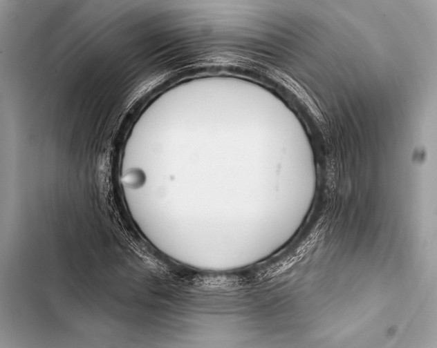 X0000103490826200810031604