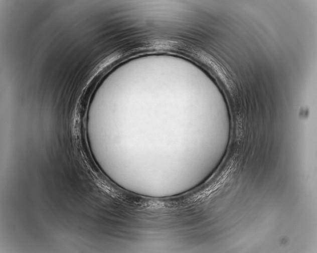 X0000103490827200810031604