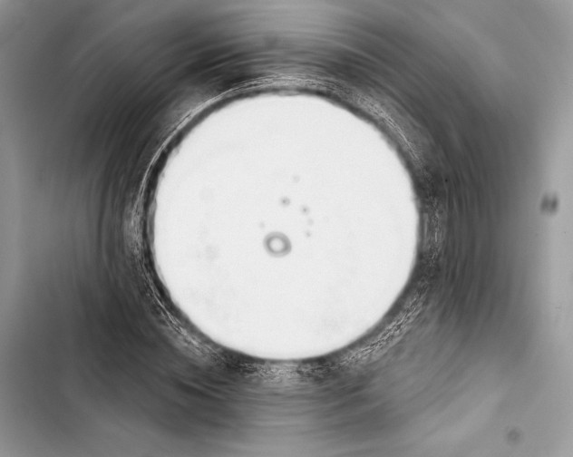 X0000103490828200810031604