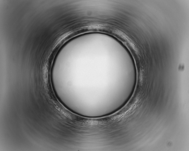 X0000103490829200810031604