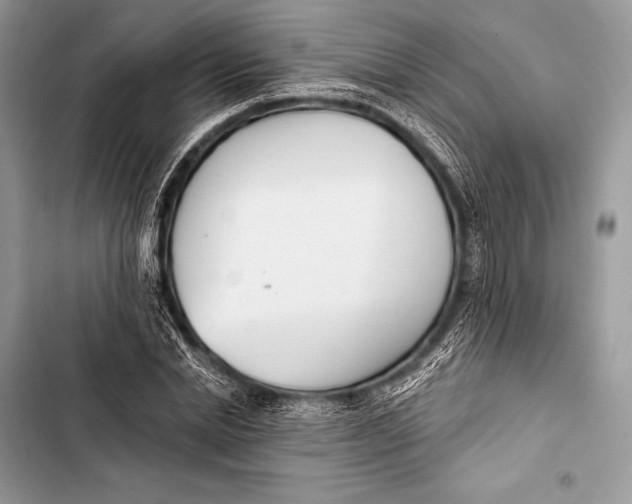 X0000103490830200810031604