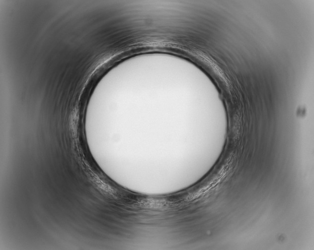 X0000103490831200810031604