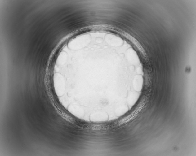 X0000103490832200810031604