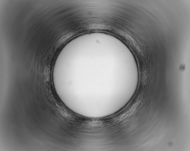 X0000103490833200810031604