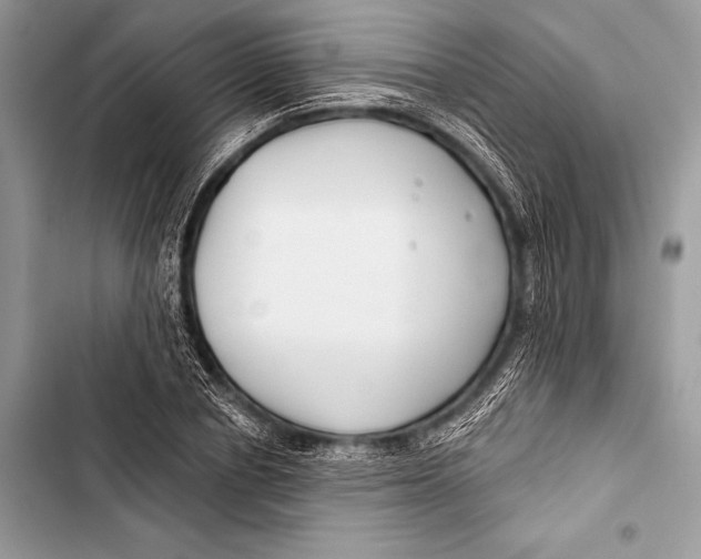 X0000103490834200810031604