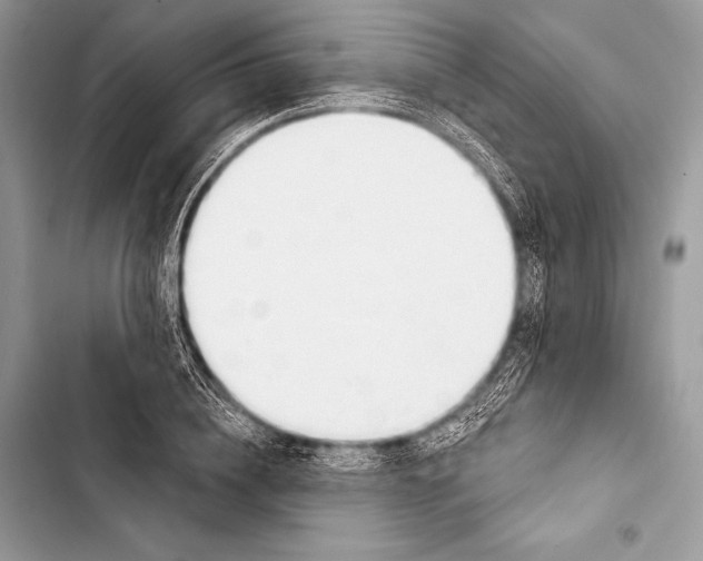 X0000103490836200810031604