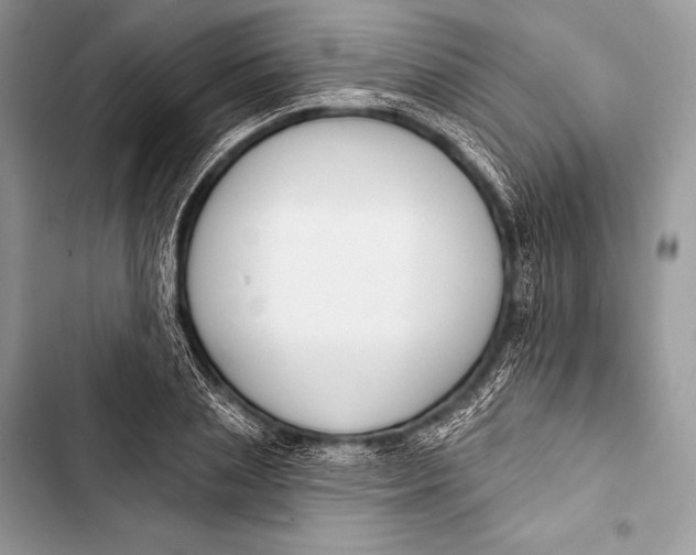 X0000103490837200810031604