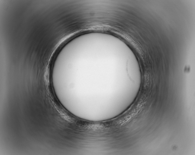 X0000103490838200810031604