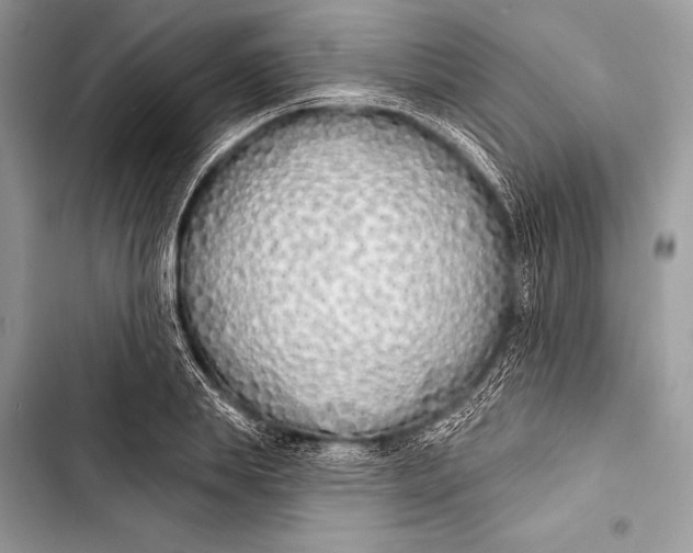 X0000103490839200810031604