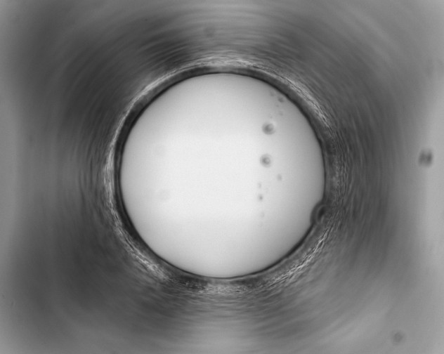 X0000103490840200810031604