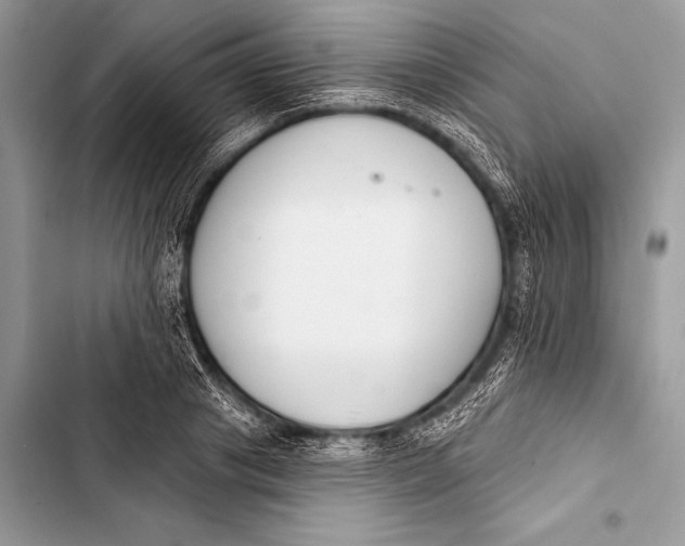 X0000103490841200810031604