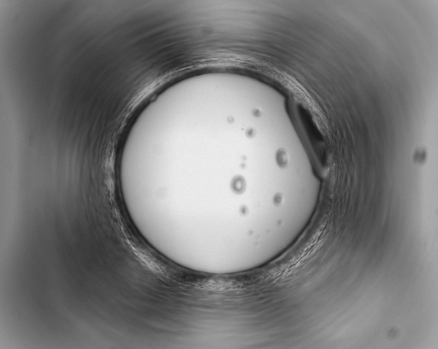 X0000103490842200810031604