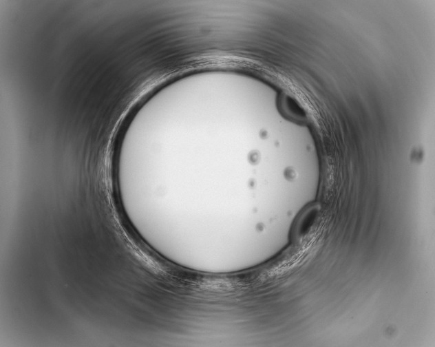 X0000103490843200810031604