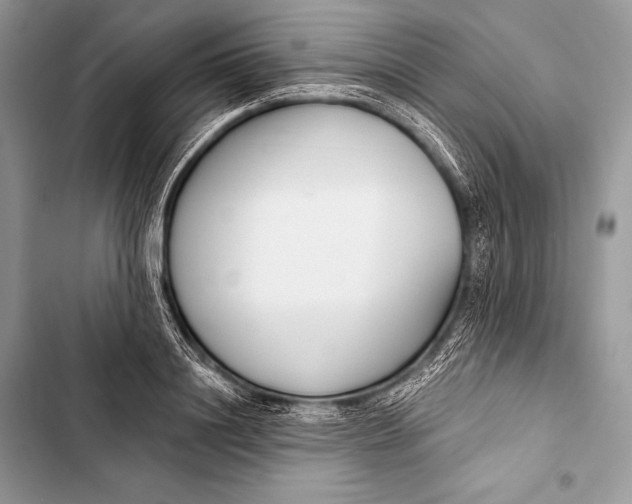 X0000103490844200810031604