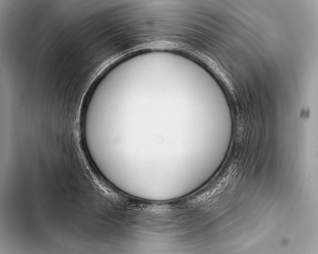 X0000103490845200810031604