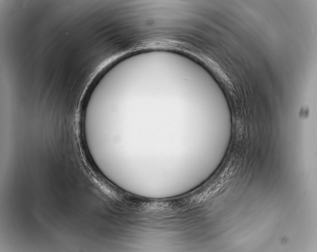 X0000103490846200810031604