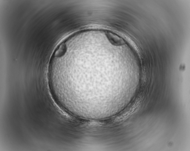 X0000103490847200810031604