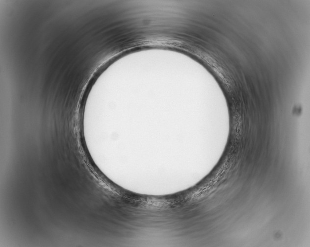 X0000103490848200810031604