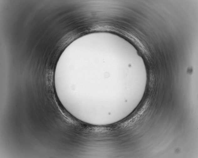 X0000103490849200810031604