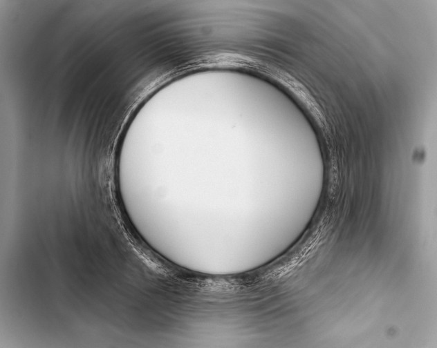 X0000103490850200810031604