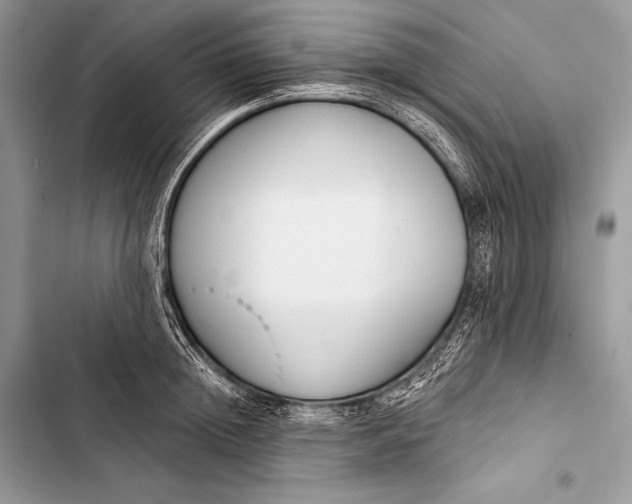 X0000103490852200810031604