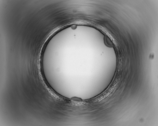 X0000103490853200810031604