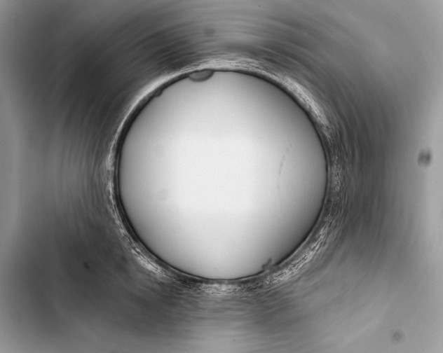 X0000103490854200810031604