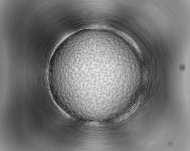 X0000103490855200810031604