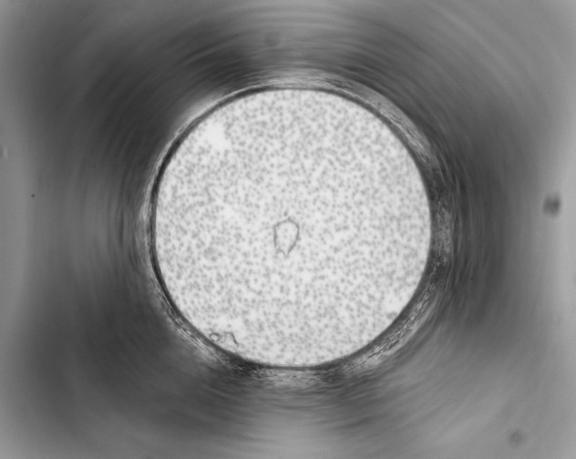 X0000103490856200810031604