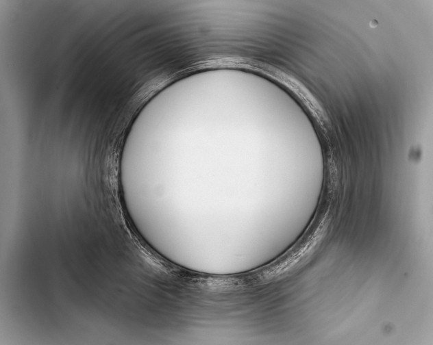 X0000103490857200810031604