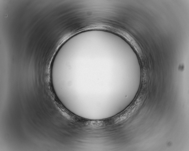 X0000103490858200810031604