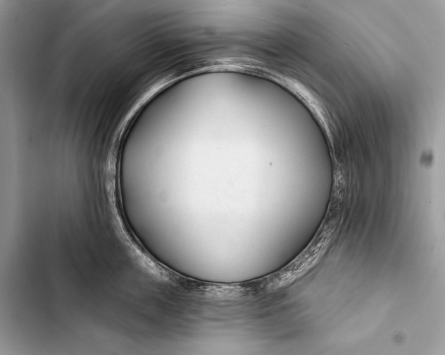 X0000103490859200810031604