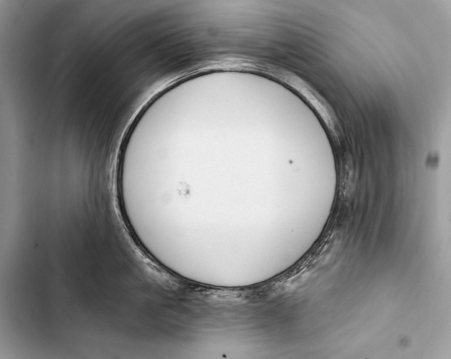 X0000103490861200810031604