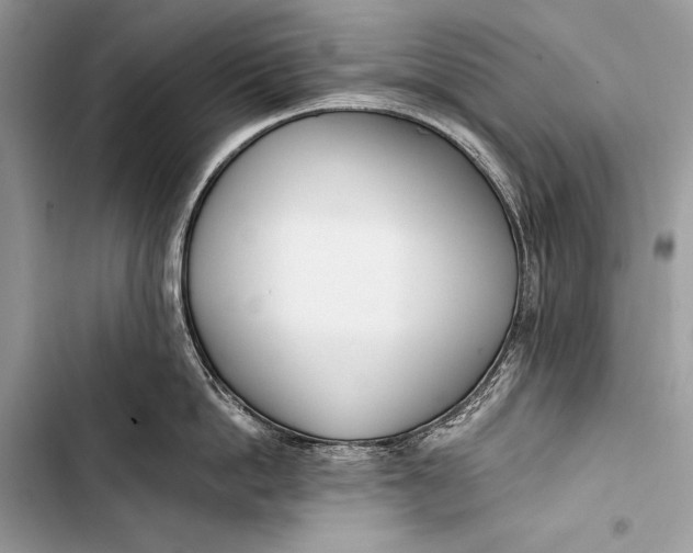 X0000103490862200810031604