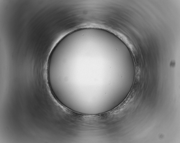 X0000103490863200810031604