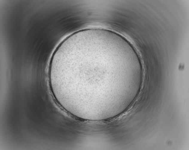 X0000103490864200810031604