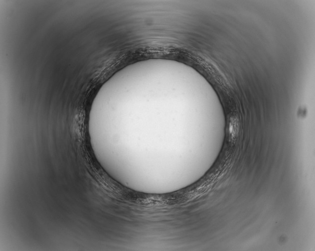 X0000103490867200810031603