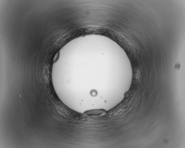 X0000103490868200810031603