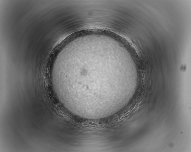 X0000103490871200810031603