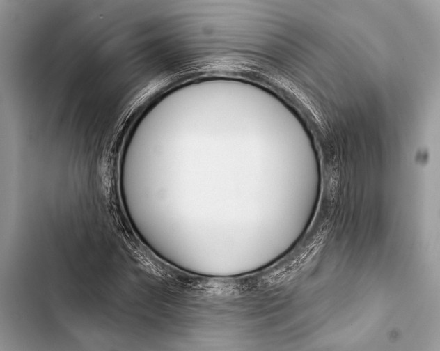 X0000103490874200810031603