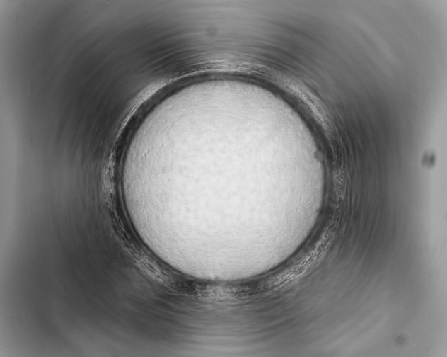 X0000103490875200810031603