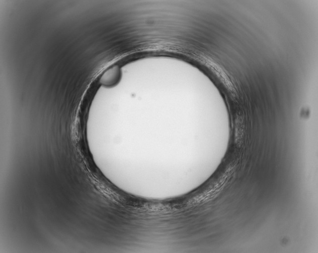 X0000103490876200810031603