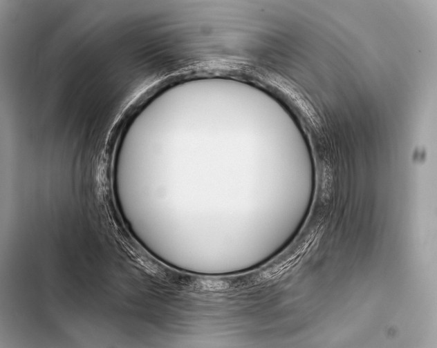 X0000103490878200810031603