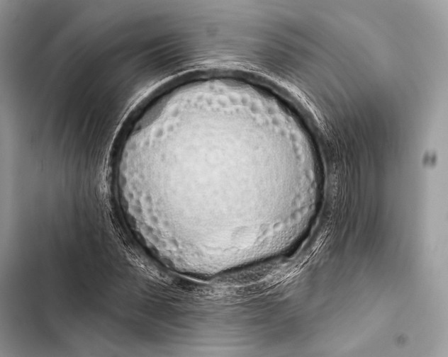 X0000103490879200810031603