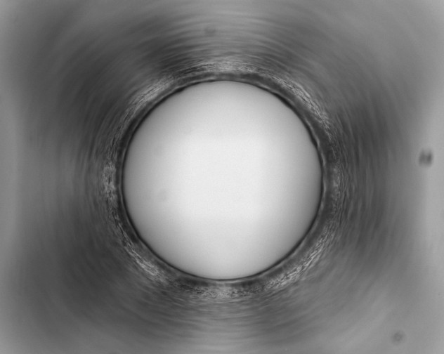 X0000103490881200810031603