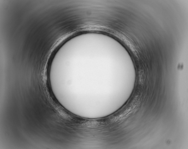 X0000103490885200810031603